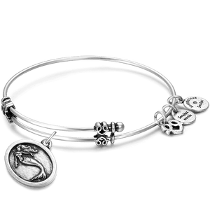 Mermaid Charm Bangle Silver For Women Girls